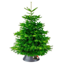 Elho Nordman 39Cm Anthracite Christmas Tree Stand For Real Trees Up To 3M - thumbnail 3