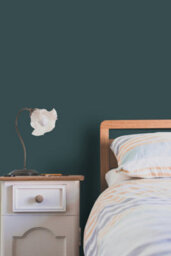 Crown Trade Vinyl Matt Walls & Ceilings Emulsion Paint Ral 210 20 15 (210 20 15) 5L - thumbnail 6