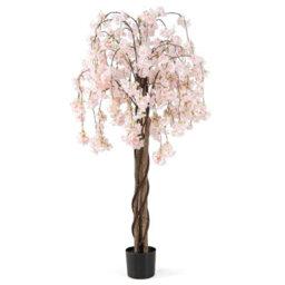Gainoom 163Cm Tall White Artificial Cherry Blossom Tree Faux Flower Plant In Nursery Pot - thumbnail 9