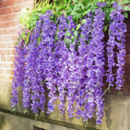 Living And Home Set Of 12 Artificial Hanging Flowers Wisteria Vine Wedding Decor 105 Cm - thumbnail 4