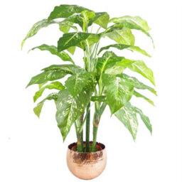 Leaf Large Metal Planter 22 X 17Cm Hammered Silver Colour - Curvy Edge - thumbnail 5