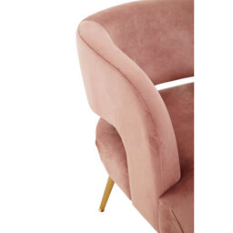 Orsina Pink Velvet Chair With Gold Finish Metal Legs, Backrest Dining Chair, Easy To Clean Armchair - thumbnail 7