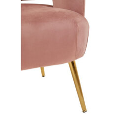 Orsina Pink Velvet Chair With Gold Finish Metal Legs, Backrest Dining Chair, Easy To Clean Armchair - thumbnail 6