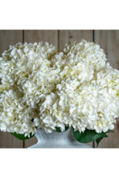 White Allium Faux Floral Stem, Elegant Artificial Flower For Home Decor - thumbnail 1