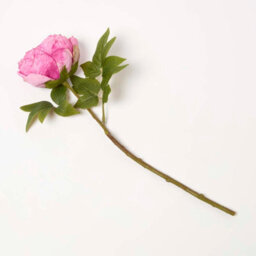 Homescapes Artificial Pink Handcrafted Dried Peony Flower Stem, 48 Cm - thumbnail 1