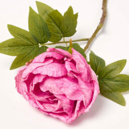 Homescapes Artificial Pink Handcrafted Dried Peony Flower Stem, 48 Cm - thumbnail 3