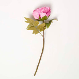 Homescapes Artificial Pink Handcrafted Dried Peony Flower Stem, 48 Cm - thumbnail 4