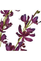 Purple Cymbidium Spray - Elegant Faux Orchid Floral Decor - thumbnail 2
