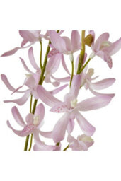 Lilac Cymbidium Spray - Elegant Faux Orchid Flower For Home Decor - thumbnail 2
