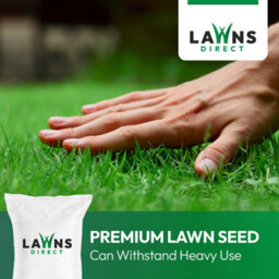 Lawns Direct™ Prograss™ 2Kg Professional High Tolerance Grass Seed Mix For Shaded Areas Covers 57-100M² - thumbnail 6