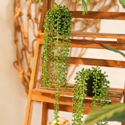 2 Pack Artificial Hanging Potted Plants, Faux Pearl Garland, Faux Succulent Plants For Home Wall Decoration - thumbnail 6