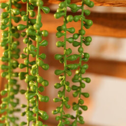2 Pack Artificial Hanging Potted Plants, Faux Pearl Garland, Faux Succulent Plants For Home Wall Decoration - thumbnail 5
