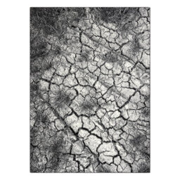 RugsX Carpet Silver Terra Cracked Ground Grey  160X220 Cm - thumbnail 3