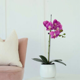 GreenBrokers Elegant Single Stem Purple Real Touch Artificial Potted Orchid (46Cm) In Round White Ceramic Pot - thumbnail 2