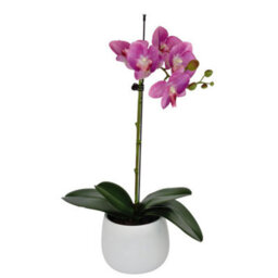 GreenBrokers Elegant Single Stem Purple Real Touch Artificial Potted Orchid (46Cm) In Round White Ceramic Pot - thumbnail 3