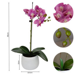 GreenBrokers Elegant Single Stem Purple Real Touch Artificial Potted Orchid (46Cm) In Round White Ceramic Pot - thumbnail 4