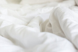 Catherine Lansfield Essentials 10.5 Tog Hollowfibre Duvet - thumbnail 2