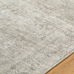 Livabliss Galey Alix Maria Elena-Vintage Ivory Brown Traditional Vintage Boho Fringe Living Dining Bedroom Rug 66 X 115 Cm Easy Care - thumbnail 3