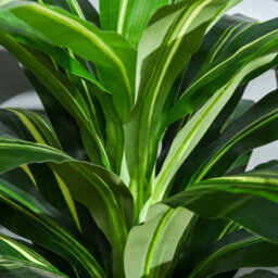 Outsunny 110Cm/3.6Ft Artificial Dracaena Plant Fake Tree Potted Home Office - thumbnail 9