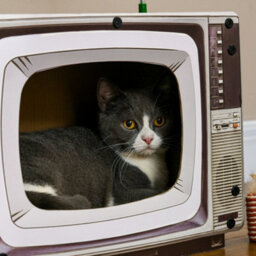 Pawhut Tv-Shaped Cat House, Cardboard With Scratcher Catnip Toy Mouse - thumbnail 9