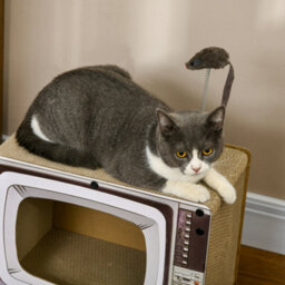Pawhut Tv-Shaped Cat House, Cardboard With Scratcher Catnip Toy Mouse - thumbnail 8