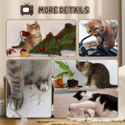 Pawhut Tv-Shaped Cat House, Cardboard With Scratcher Catnip Toy Mouse - thumbnail 6