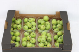 Green Ornamental Crab Apples - Decorative Fruit - thumbnail 8