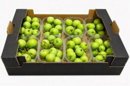 Green Ornamental Crab Apples - Decorative Fruit - thumbnail 6