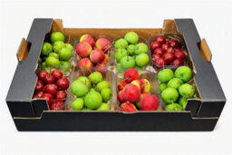 Green Ornamental Crab Apples - Decorative Fruit - thumbnail 3