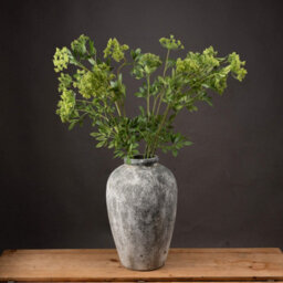 Wyld Haus Set Of 3 Artificial Cow Parsley (Ammi) Stems Green Faux Flowers - thumbnail 5