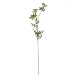 Wyld Haus Set Of 3 Artificial Cow Parsley (Ammi) Stems Green Faux Flowers - thumbnail 1