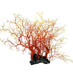 Swell Orange Coral Tree Artificial Decor