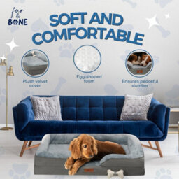 Fur & Bone Orthopedic Dog Bed Large 88 X 64 X 20 Cm - Washable Plush Velvet Pet Bed With Memory Foam Cushion And Non-Slip Base - thumbnail 2
