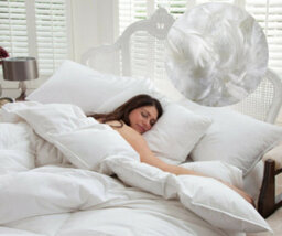TheWhiteWater Limited 100% Natural Duck Feather Duvet - Double Bed Size - Duck Feather And Duck Down 13.5 Tog Duck Feather Double Quilt - thumbnail 8