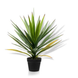 Crystals 50Cm Artificial Agave Tree  Fake Potted Plant For Indoor Décor - thumbnail 1