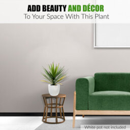Crystals 50Cm Artificial Agave Tree  Fake Potted Plant For Indoor Décor - thumbnail 3