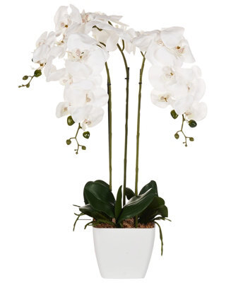 Wyld And Coco Orchidea Faux Orchid 59 Cm White Blooms With Green Foliage In Cement Pot - image 1