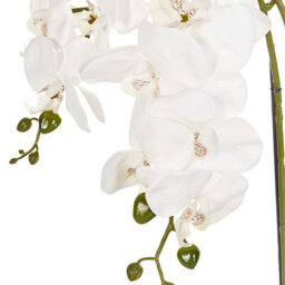 Wyld And Coco Orchidea Faux Orchid 59 Cm White Blooms With Green Foliage In Cement Pot - thumbnail 5