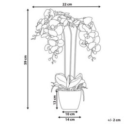 Wyld And Coco Orchidea Faux Orchid 59 Cm White Blooms With Green Foliage In Cement Pot - thumbnail 4