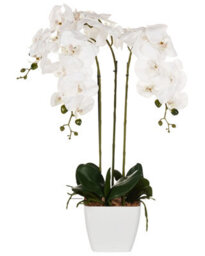 Wyld And Coco Orchidea Faux Orchid 59 Cm White Blooms With Green Foliage In Cement Pot - thumbnail 1