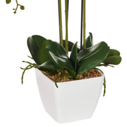 Wyld And Coco Orchidea Faux Orchid 59 Cm White Blooms With Green Foliage In Cement Pot - thumbnail 6