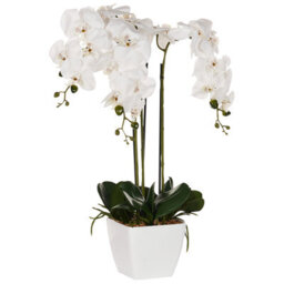 Wyld And Coco Orchidea Faux Orchid 59 Cm White Blooms With Green Foliage In Cement Pot - thumbnail 3