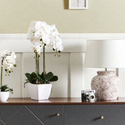 Wyld And Coco Orchidea Faux Orchid 59 Cm White Blooms With Green Foliage In Cement Pot - thumbnail 2