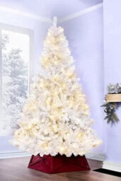 Christmas Tree World The 8Ft/240Cm Pre-Lit Bianca Pine Tree With Warm White Lights