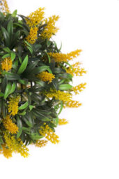 Pair Of Best Artificial 24Cm Yellow Lush Lavender Hanging Basket Flower Topiary Ball - Weather & Fade Resistant - thumbnail 2