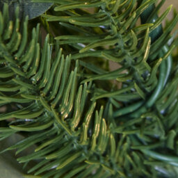 Christmas Tree World 50Cm Pre-Lit Decorated Pe Pine Wreath With White Berries - thumbnail 3