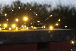 Eagle Connect Cluster Lights Black Rubber Ip65 Warm White 10M