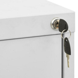 Vidaxl Filing Cabinet Light Grey 46X62X72.5 Cm Steel - thumbnail 6