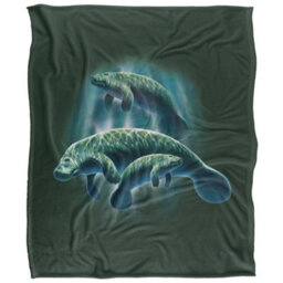 Jq Licensing Silky Manatee Supersoft Blanket Multicoloured (One Size)