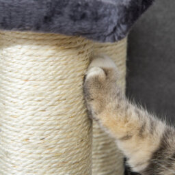 Pawhut Dog Steps For Bed 4 Step Pet Stairs Ladder For Dog Cat Scratch Post Grey - thumbnail 8